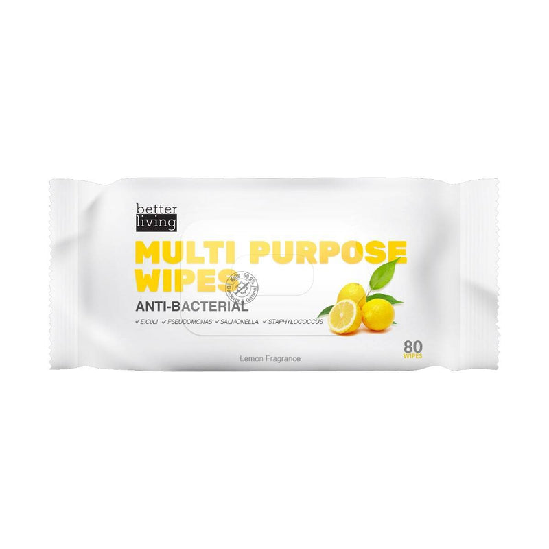 Multipurpose Antibacterial Wipes (12 Packs)