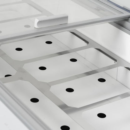 CRYSTAL Ice Cream Display 557L