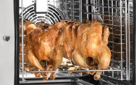 TY039 1/2gn - 4 bird chicken rack