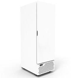 Upright Single Hinged Ice Cream Freezer