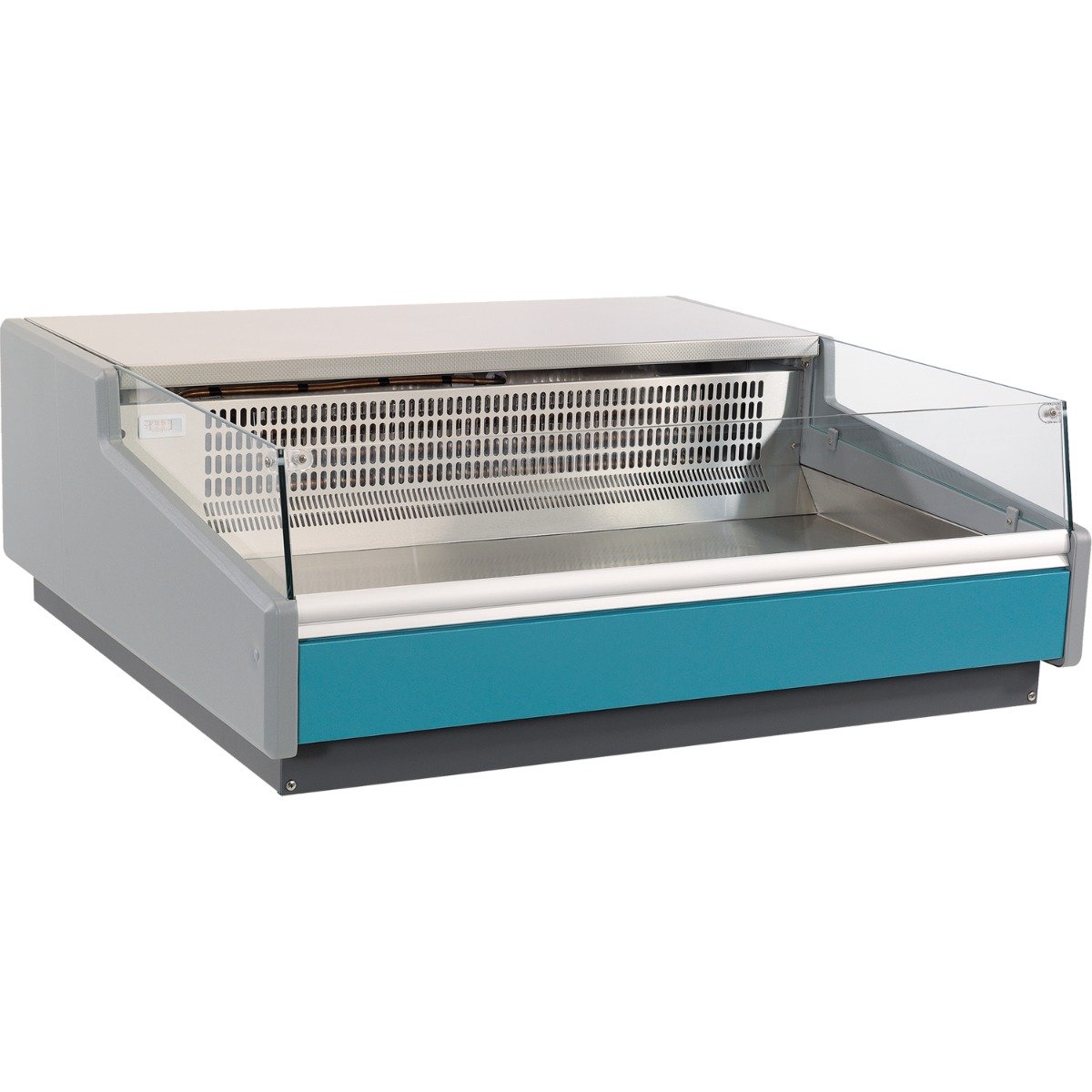 Counter Top Fish Display