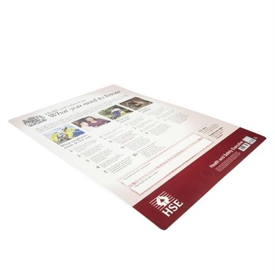 Health & Safety Law Poster A2 - view 9